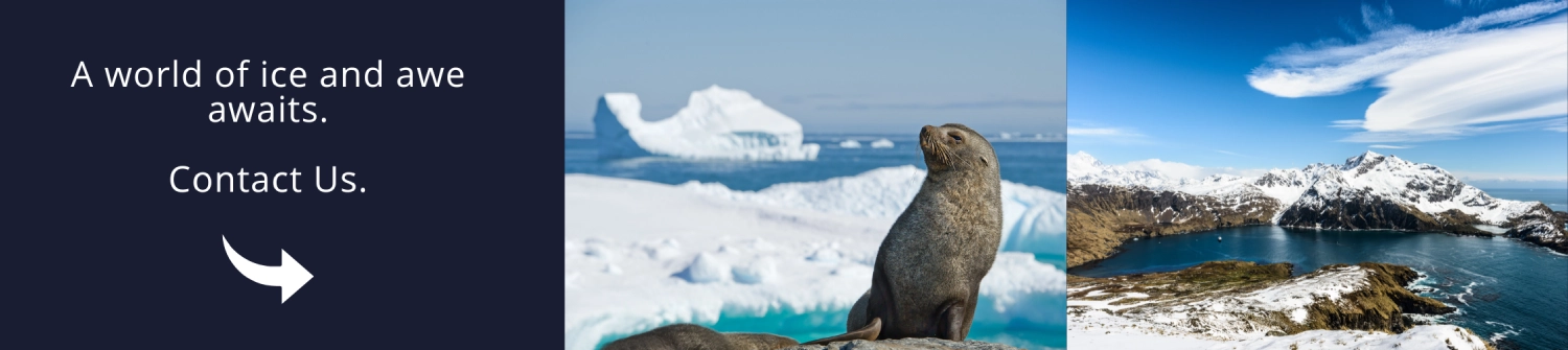 Join us for an unforgettable polar trip!