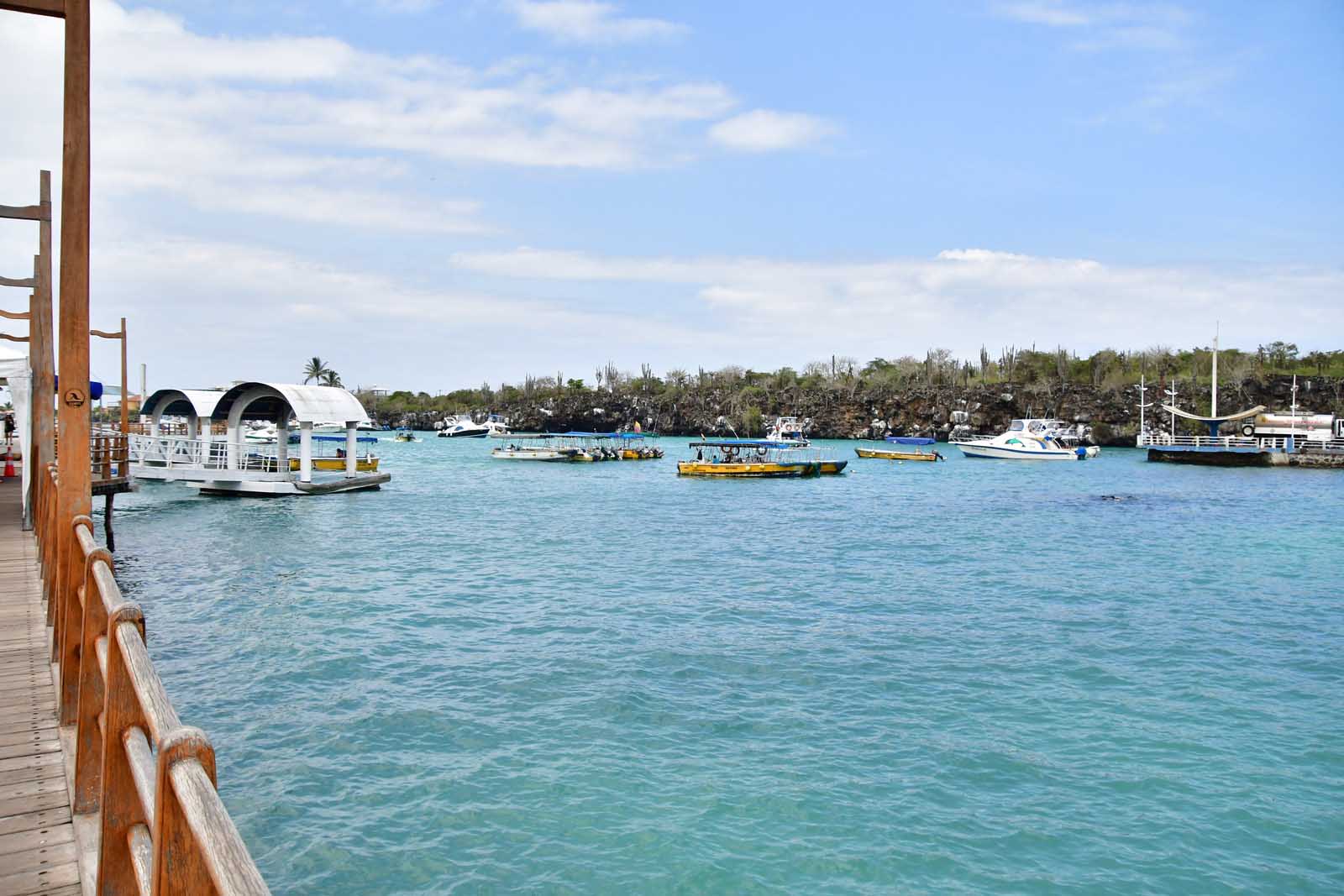 Puerto Ayora | Ilha de Santa Cruz | Ilhas Galápagos