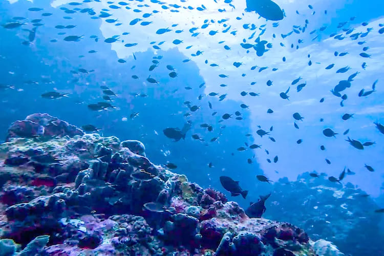 Saba | Caribbean Netherlands