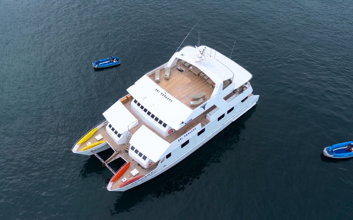 Seaman Journey - Voyagers Travel Company