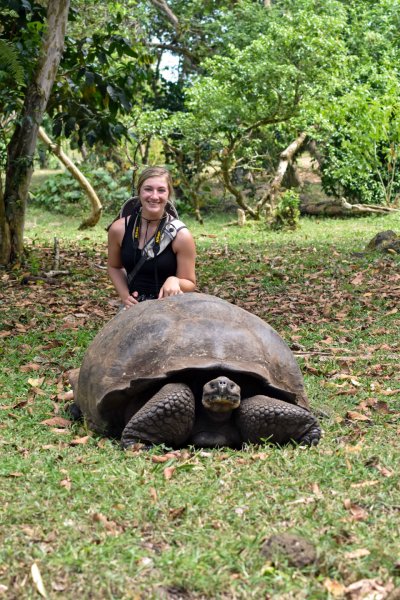 Shae Kline observes a giant Galapagos tortoise during his Island Biology studies.