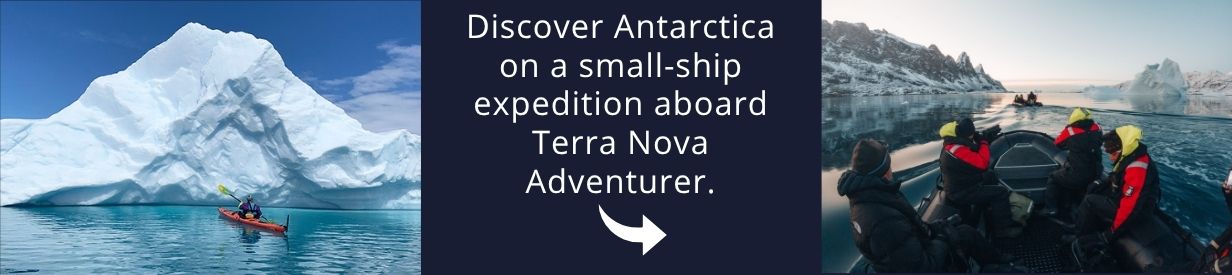Visit Antarctica