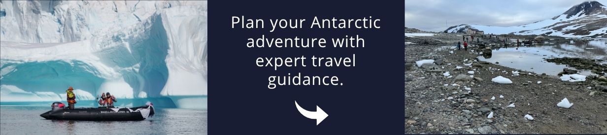 Visit Antarctica