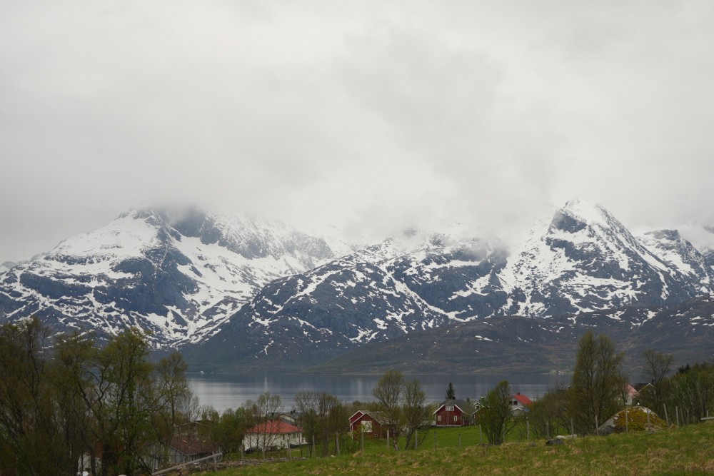 The Arctic