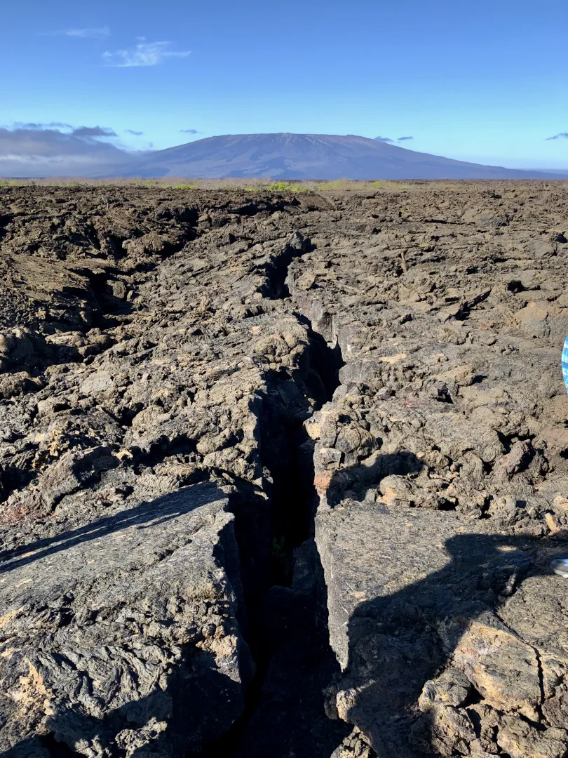 The volcanic terrain on the Galapagos Islands