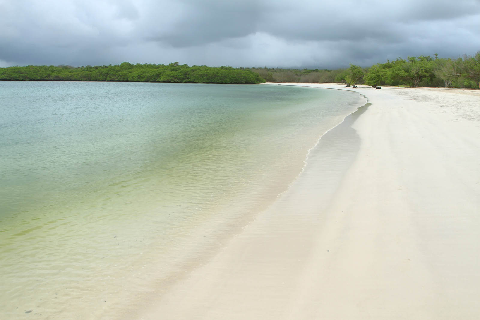 Baía de Tortuga | Ilha de Santa Cruz