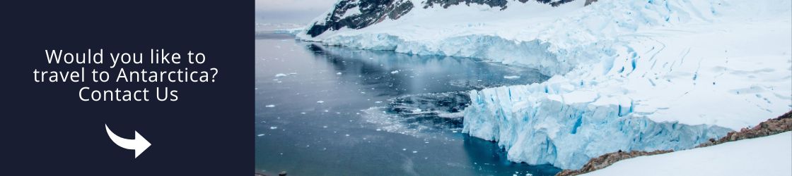 Travel to Antarctica Contact Us