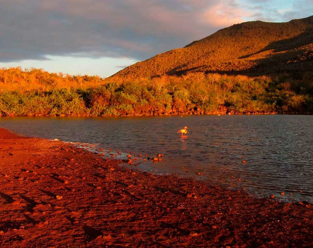 Ilha Rabida | Ilhas Galápagos