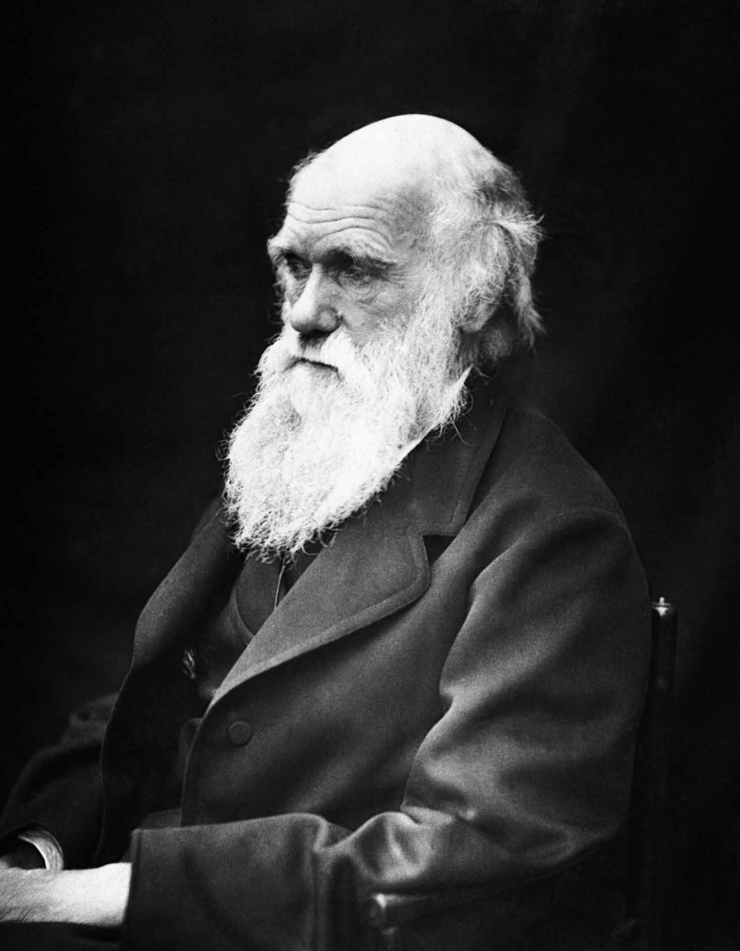 Charles Darwin | Galapagos Islands