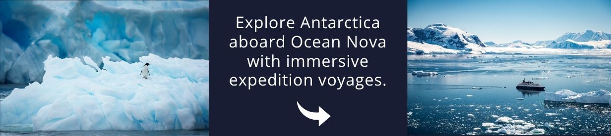 Visit Antarctica