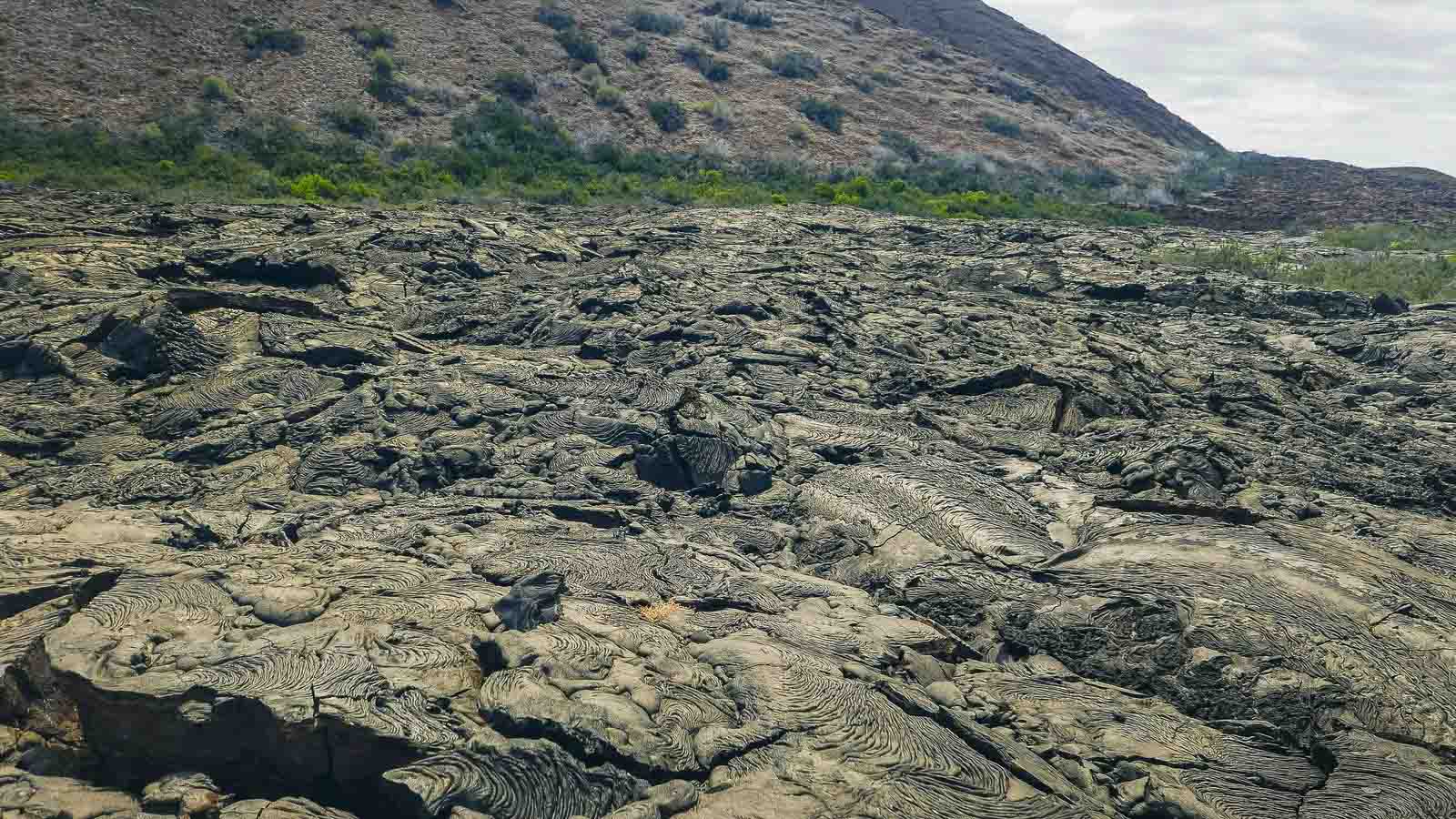 Lava flow | Santiago Island