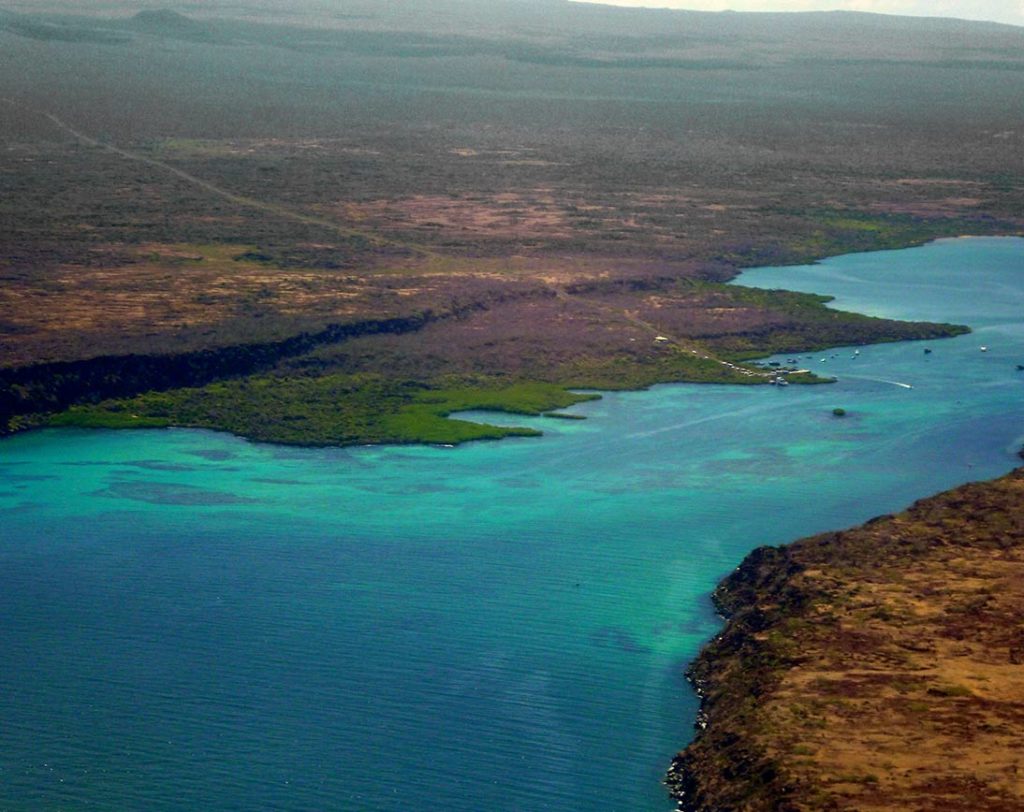 Ilha Baltra | Ilhas Galápagos