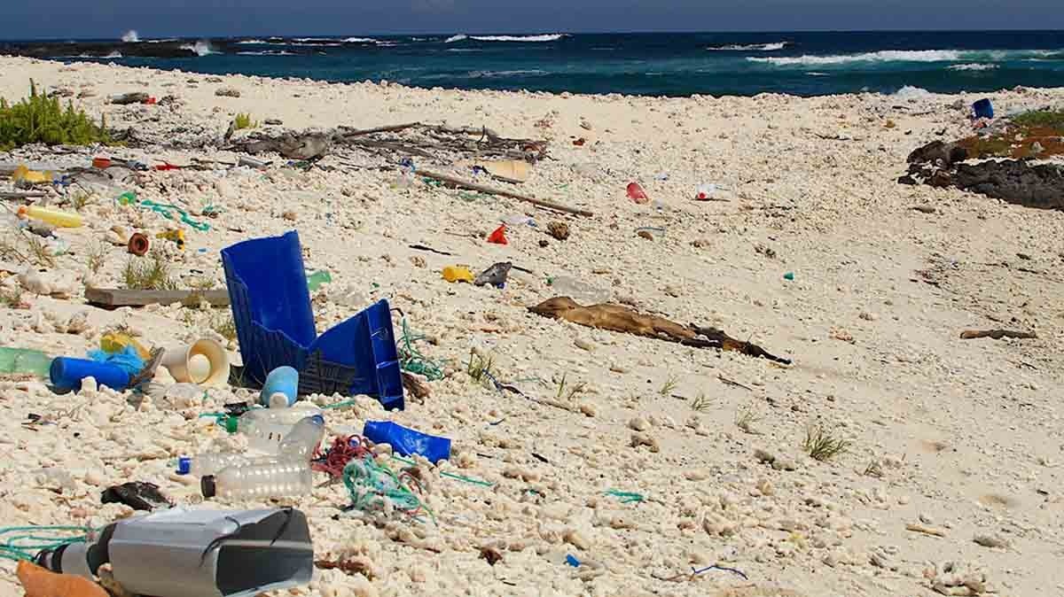 Plastic Pullution | Galapagos Beaches