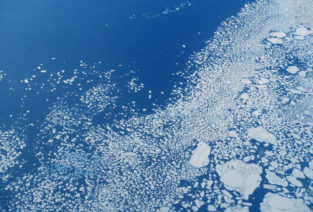 Polar cruise showcasing glaciers and wildlife in Svalbard's Arctic landscape.