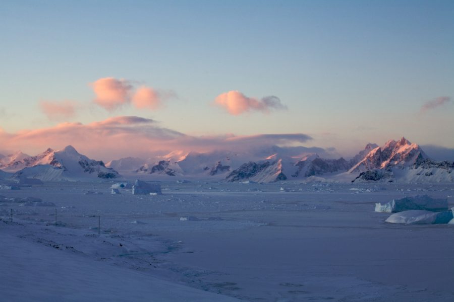 Sea ice | Marguerite Bay | Rothera Research Station | Antarctica