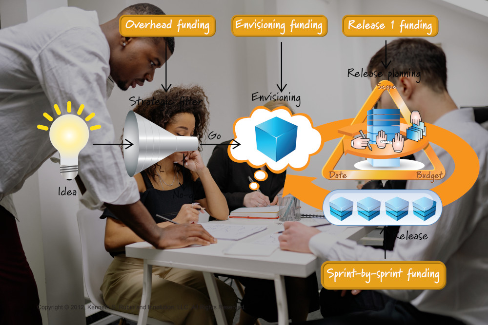 Agile Business Professional / Business Agility