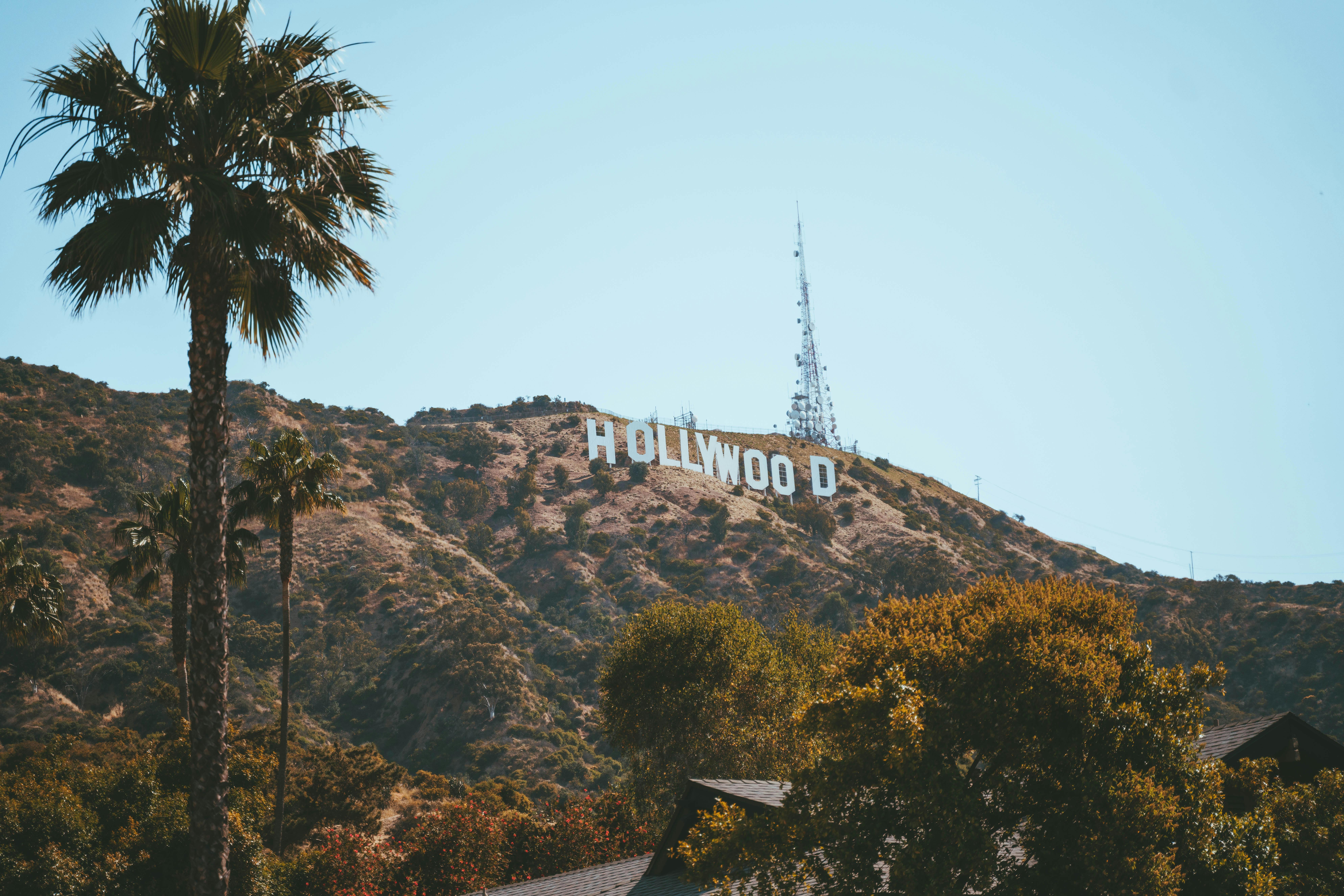 What Hollywood Doesn’t Want You to Know About Dating & Power: The Untold Truth