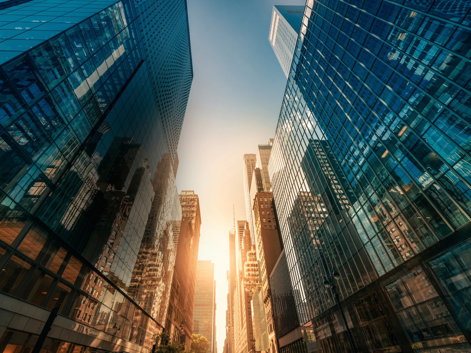 Navigating New York’s Career Landscape: Jobs, Startups, and Corporate Giants