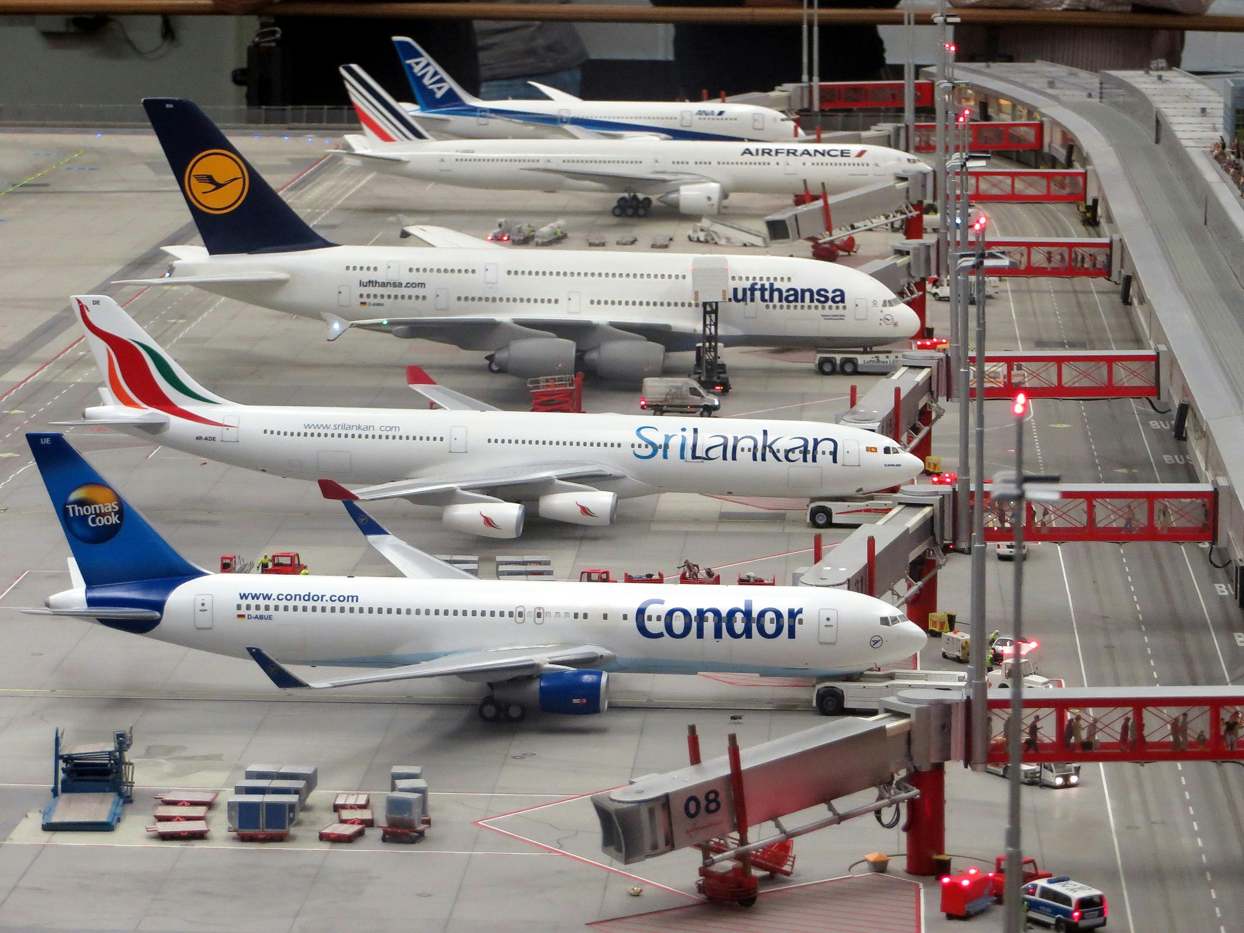The Airline Hustle: Culture, Chaos, and the High Cost of Flying