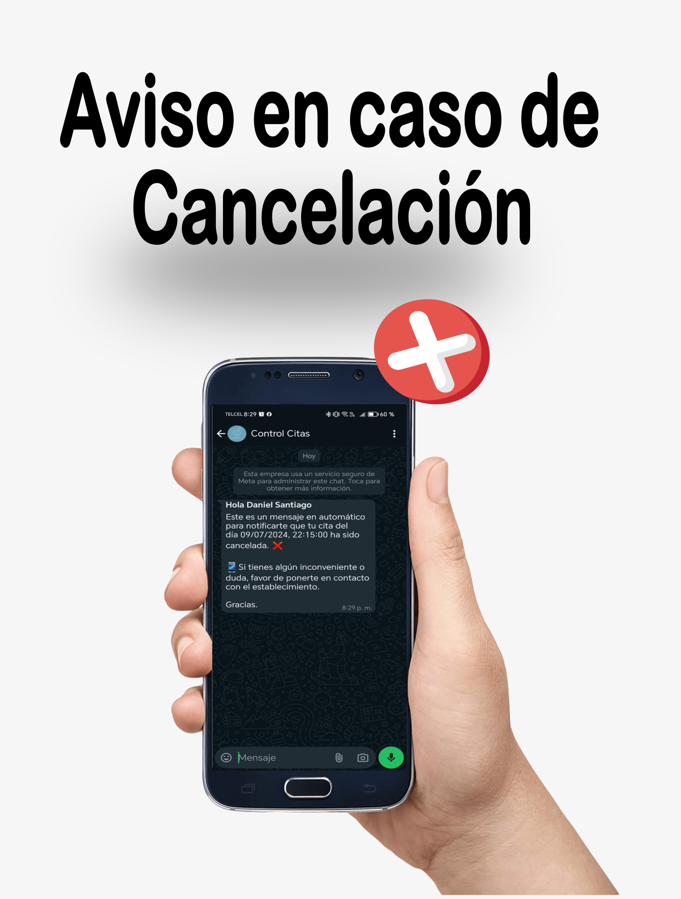Imagen de galería