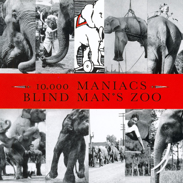 Blind Man's Zoo cover art