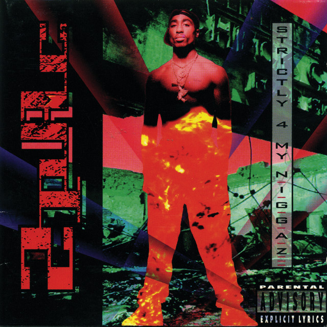 Strictly 4 My N.I.G.G.A.Z. cover art