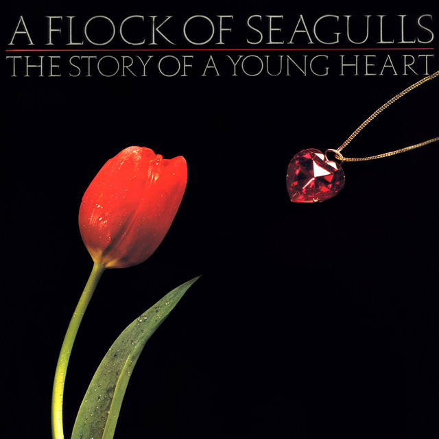 The Story of a Young Heart cover art