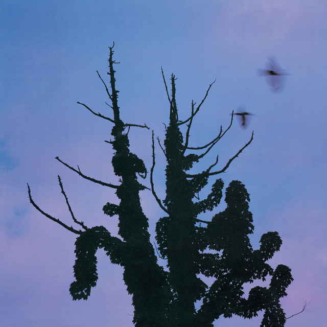 Aburadako [Ki-ban] cover art