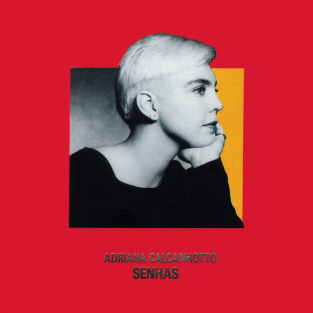 Senhas cover art