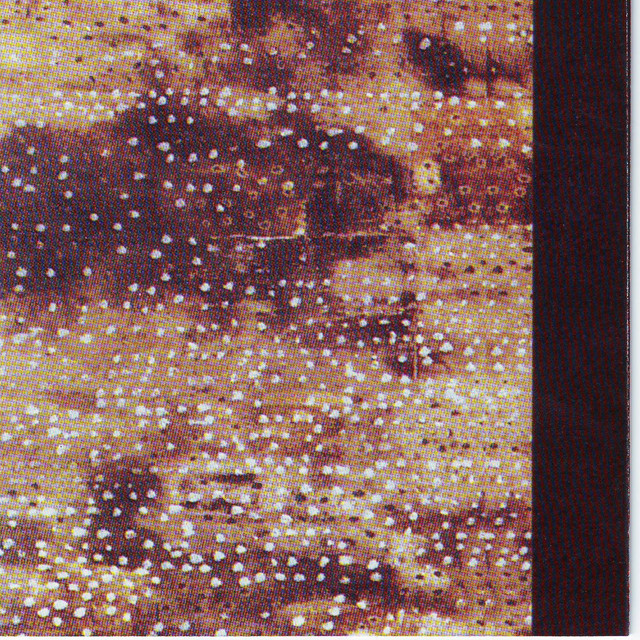 Buried Alive cover art