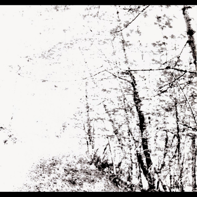 The White EP cover art