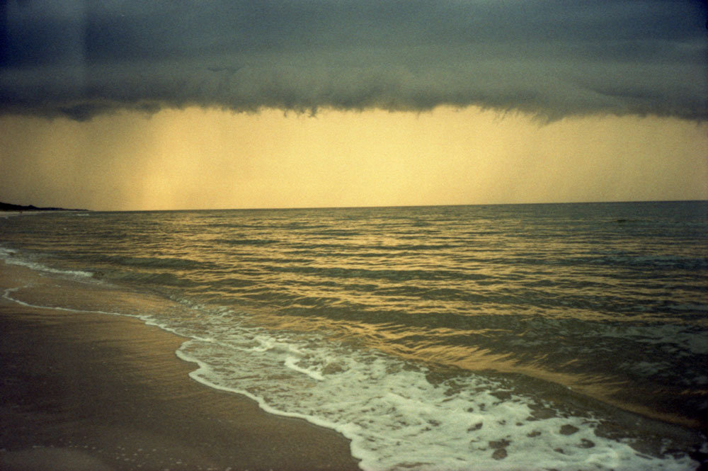 Późne królestwo cover art