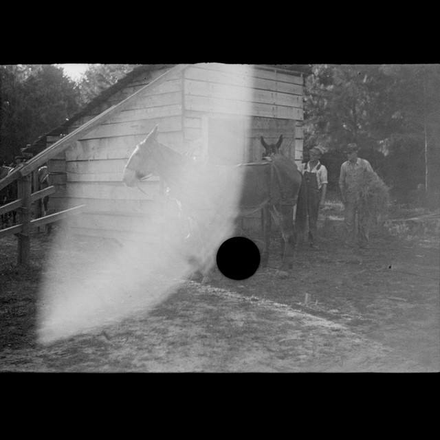 Teaches Dust to Reason cover art