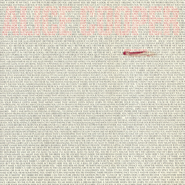 Zipper Catches Skin cover art