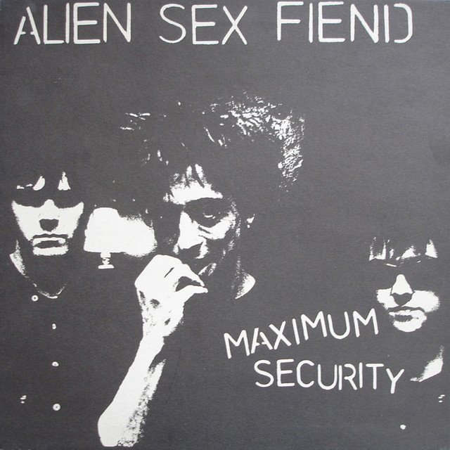 Maximum Security cover art