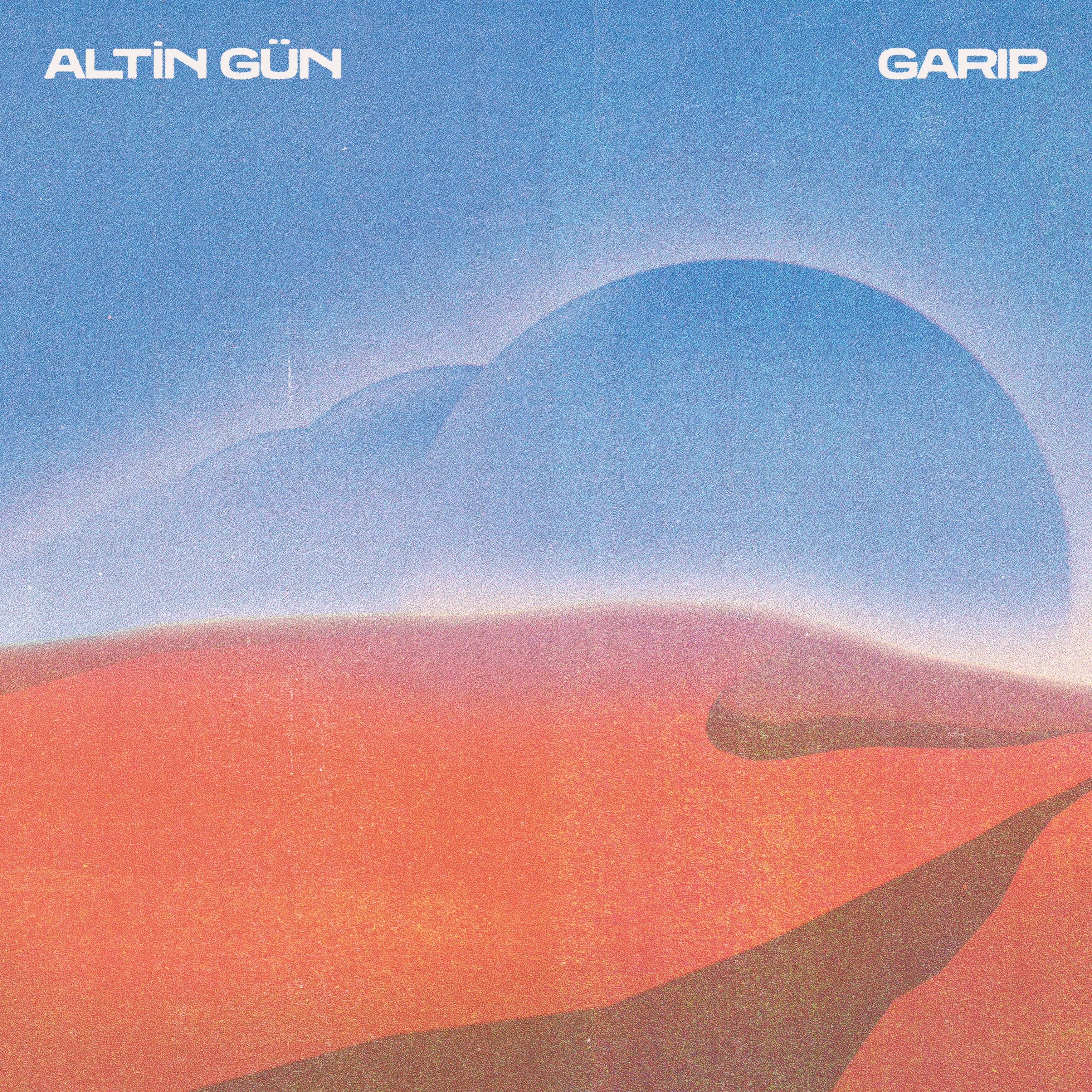 Garip cover art