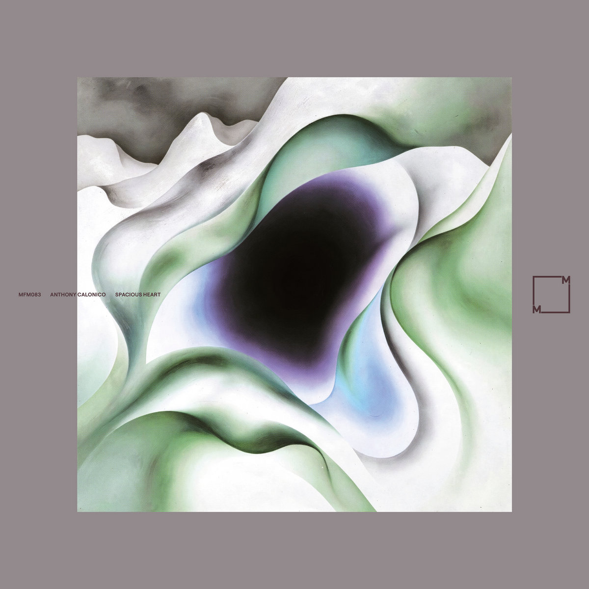 Spacious Heart cover art
