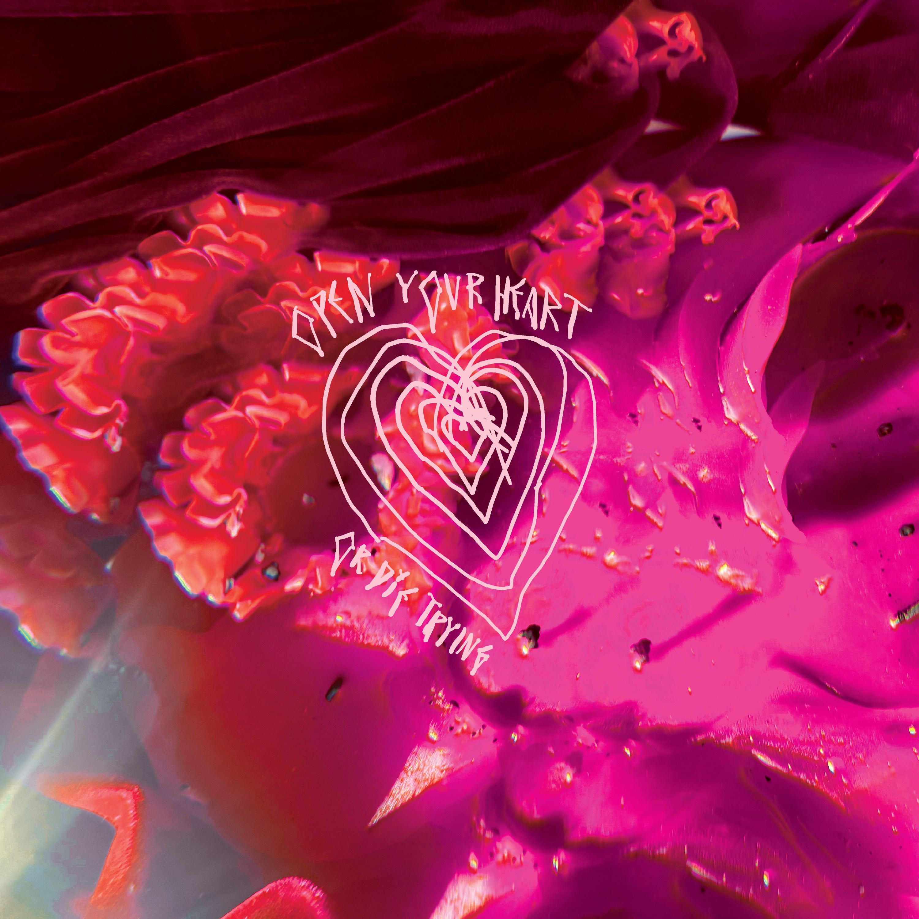 Open Your Heart or Die Trying cover art