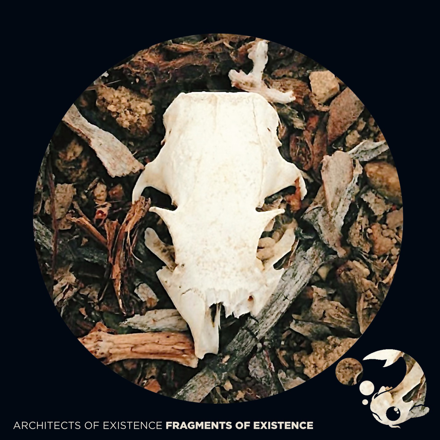 Fragments of Existence cover art