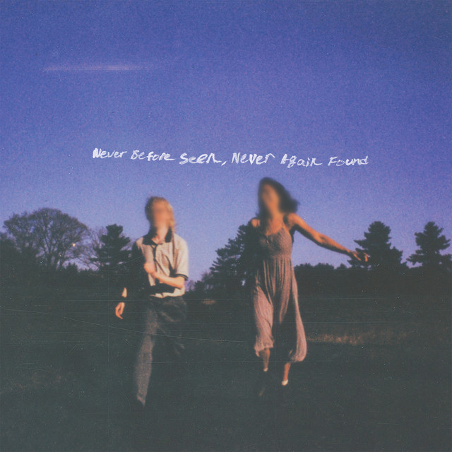 Never Before Seen, Never Again Found cover art