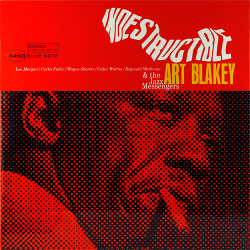 Indestructible cover art