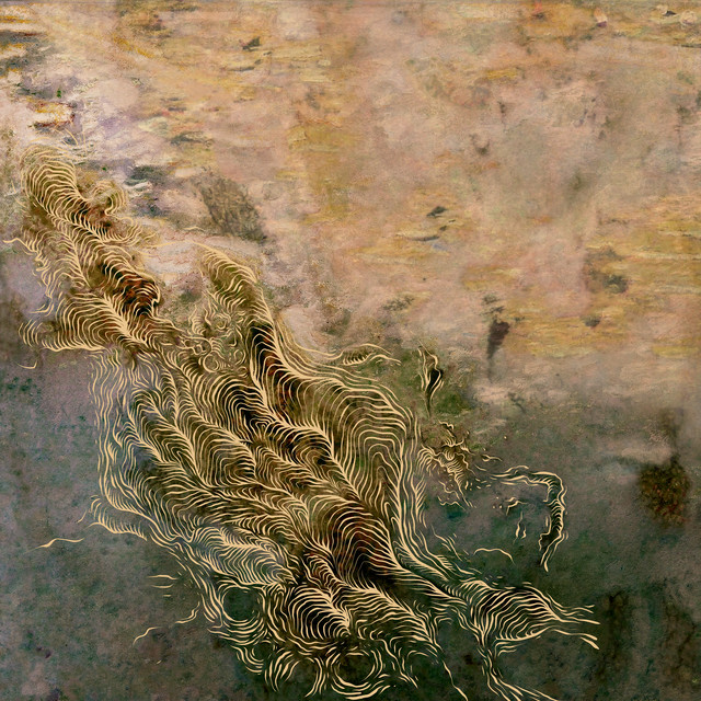 Water, It Feels Like It's Growing cover art