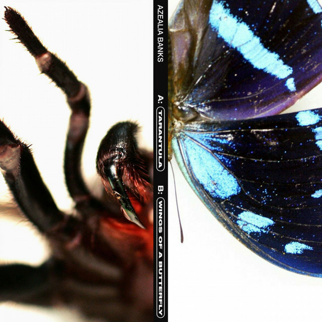 Tarantula cover art