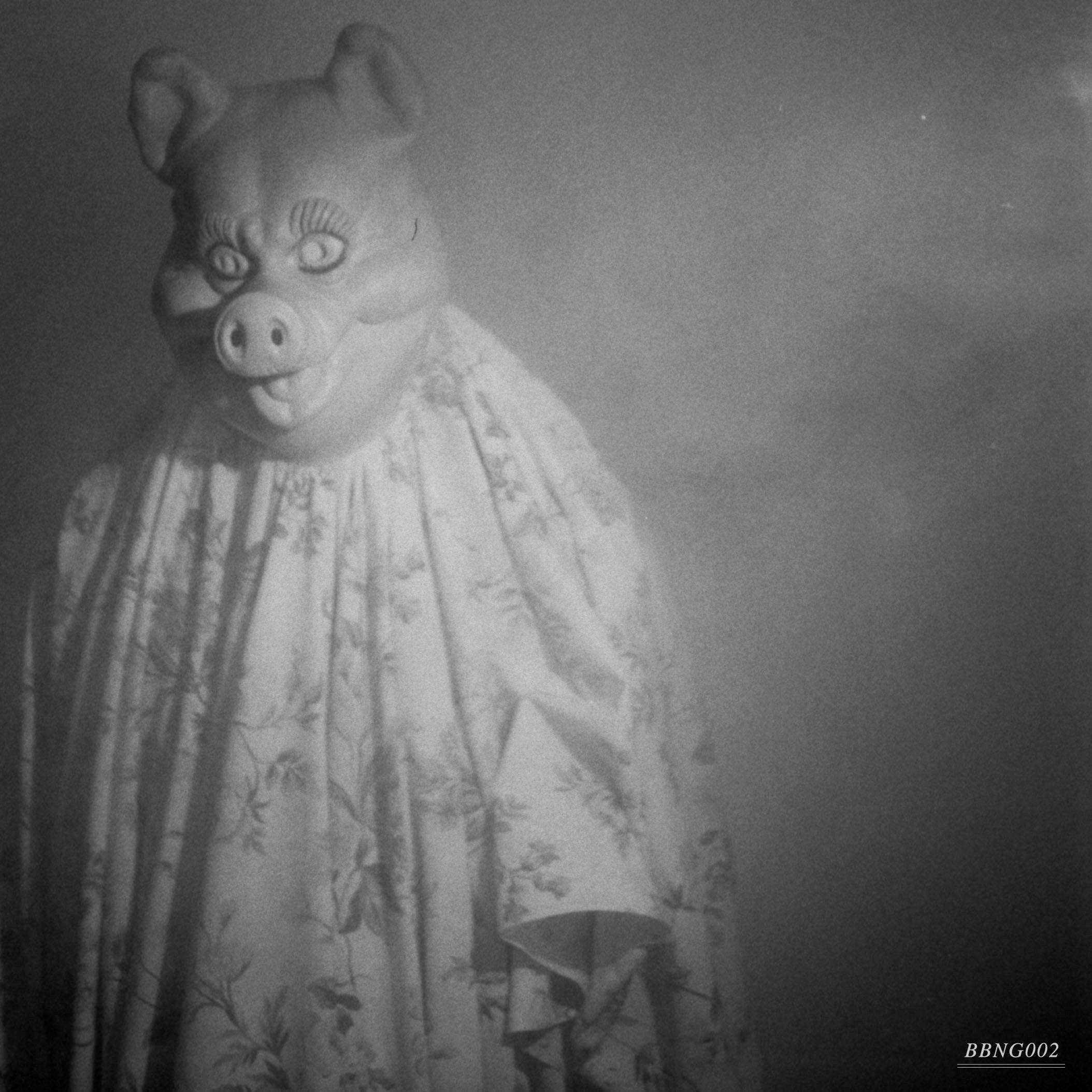 BBNG2 cover art
