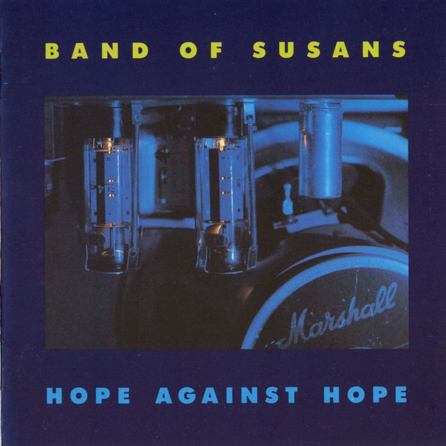 Hope Against Hope cover art