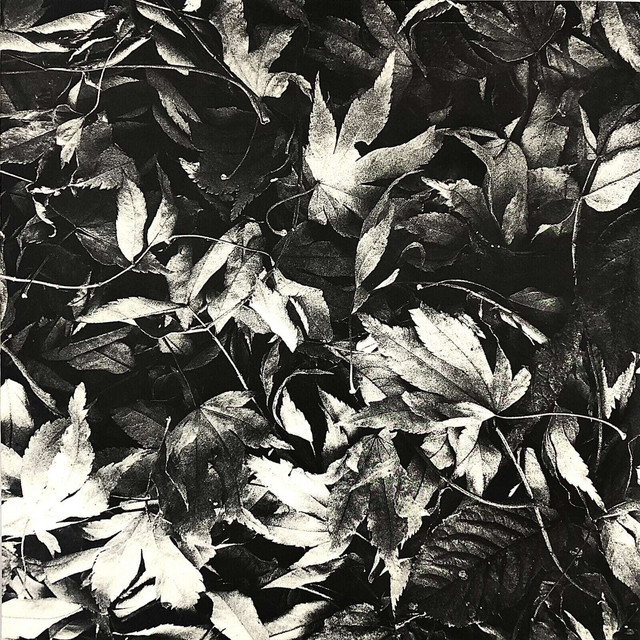 All Different Things / By-Blow cover art