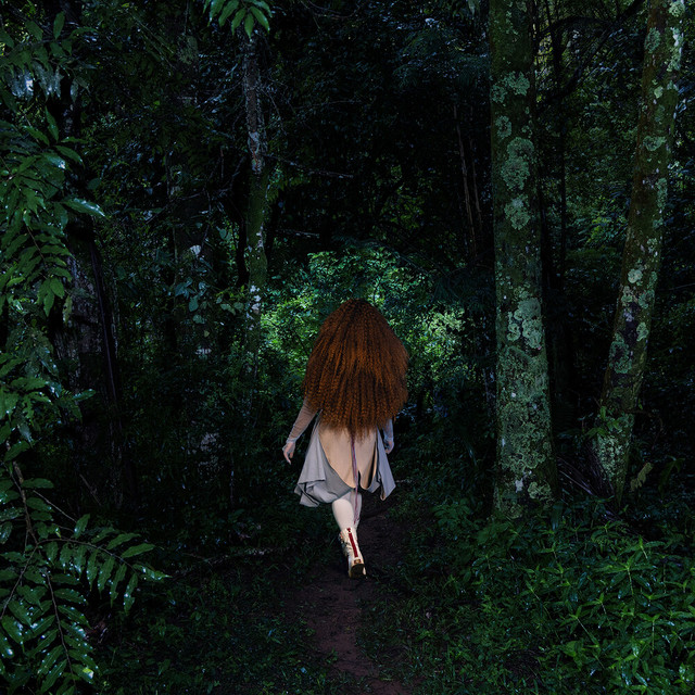 Dissolução cover art