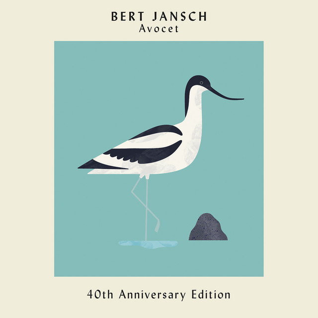 Avocet cover art