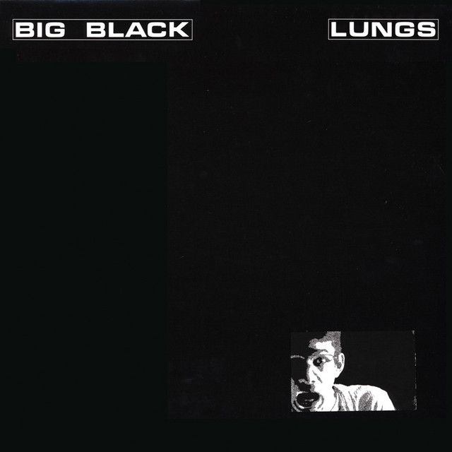 Lungs cover art