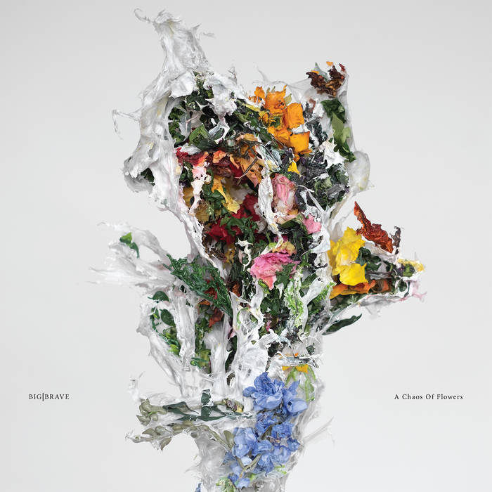 A Chaos of Flowers cover art